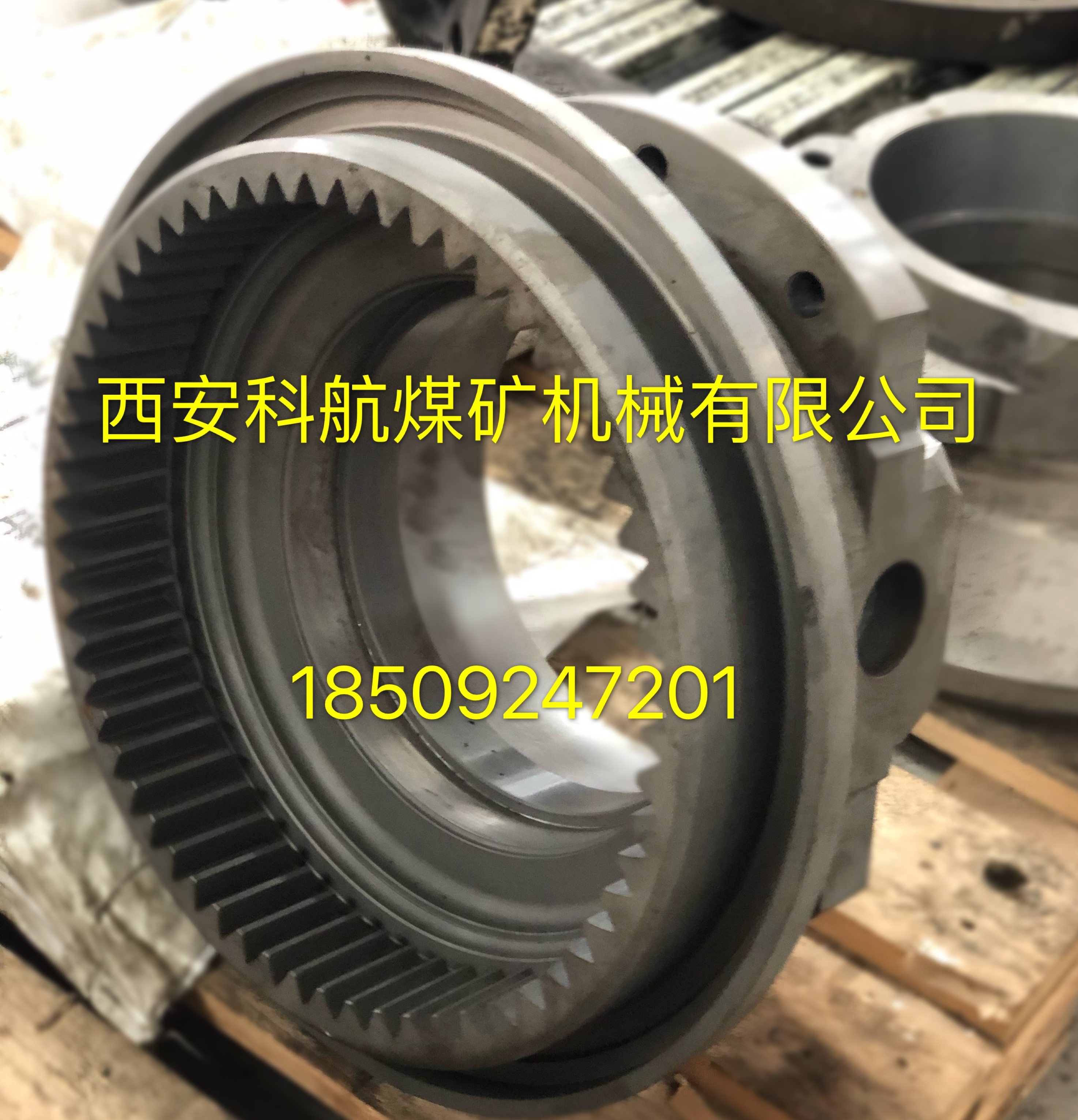 �c���鿴Ԕ��